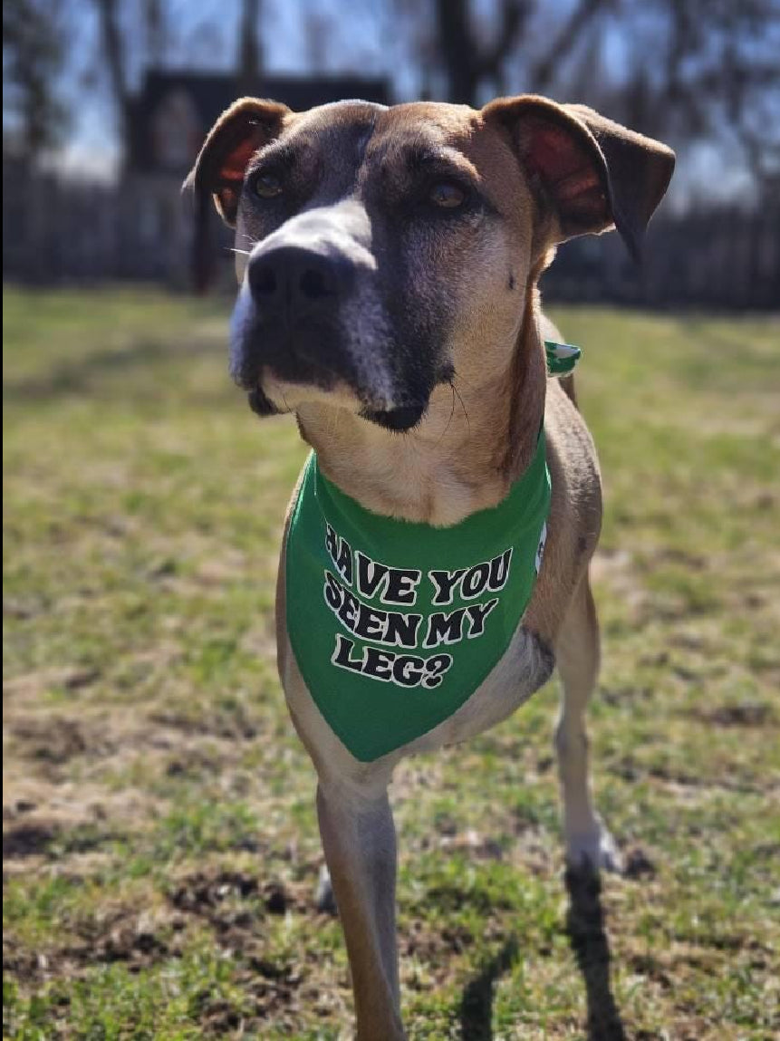 Have you seen my leg bandana?
