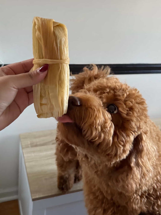 PAWMALES - PICK UP ONLY