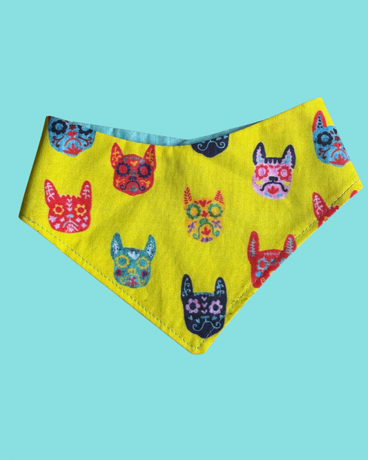 Frenchie Sugar skull Dog bandana