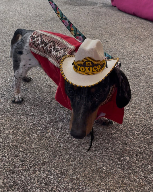 El Tóxico sombrero