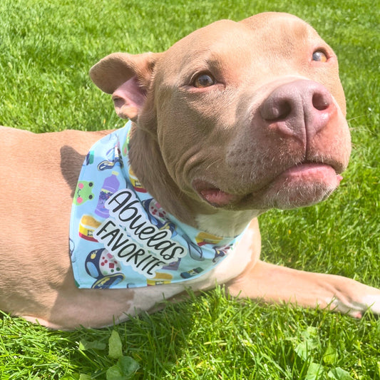 Abuela's Favorite Bandana