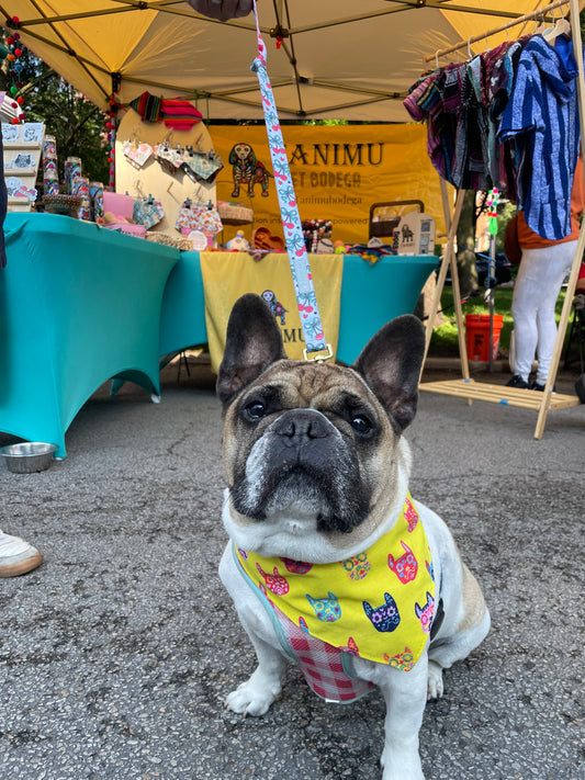 Frenchie Sugar skull Dog bandana