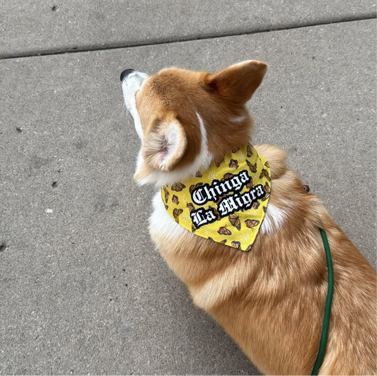Chinga la migra bandana