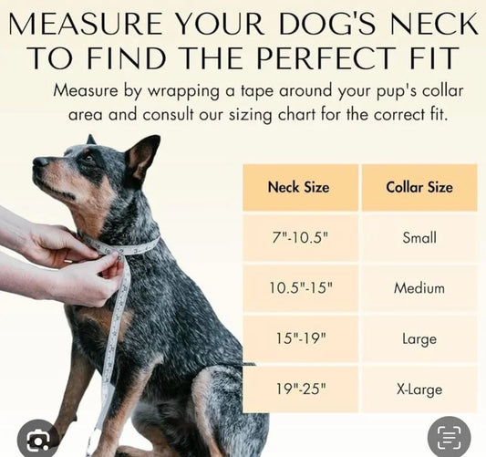 Bandera Boujee Collar