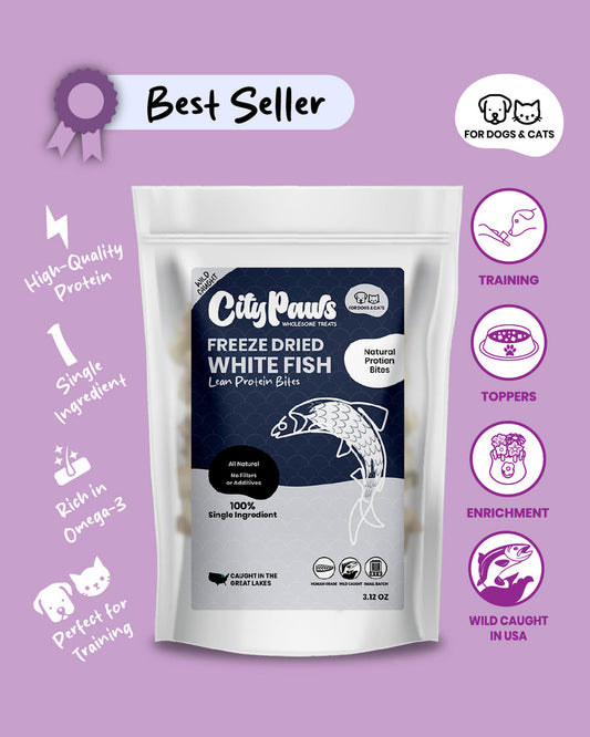 Freeze Dried White Fish