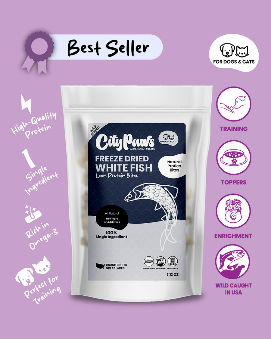 Freeze Dried White Fish