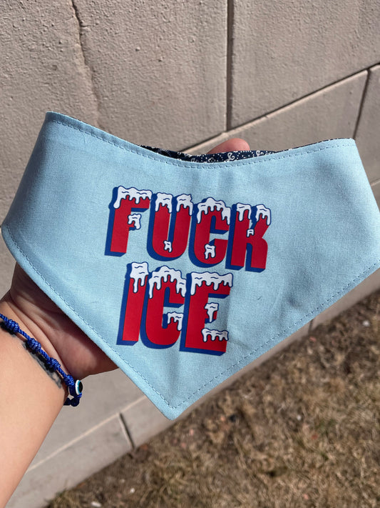 F ICE