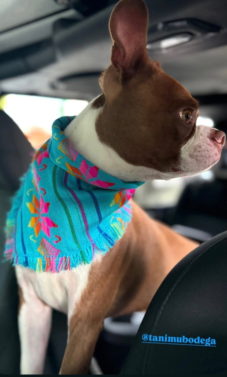 Yucatan Cambaya Bandana