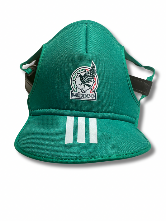 Mexico pet cap