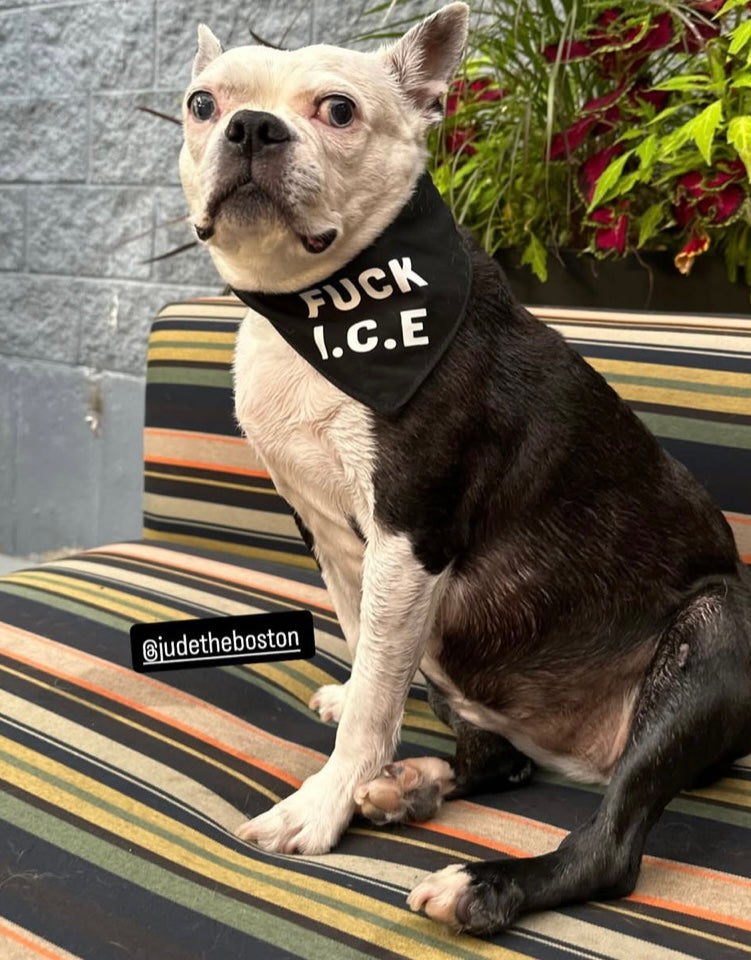 FU%K ICE