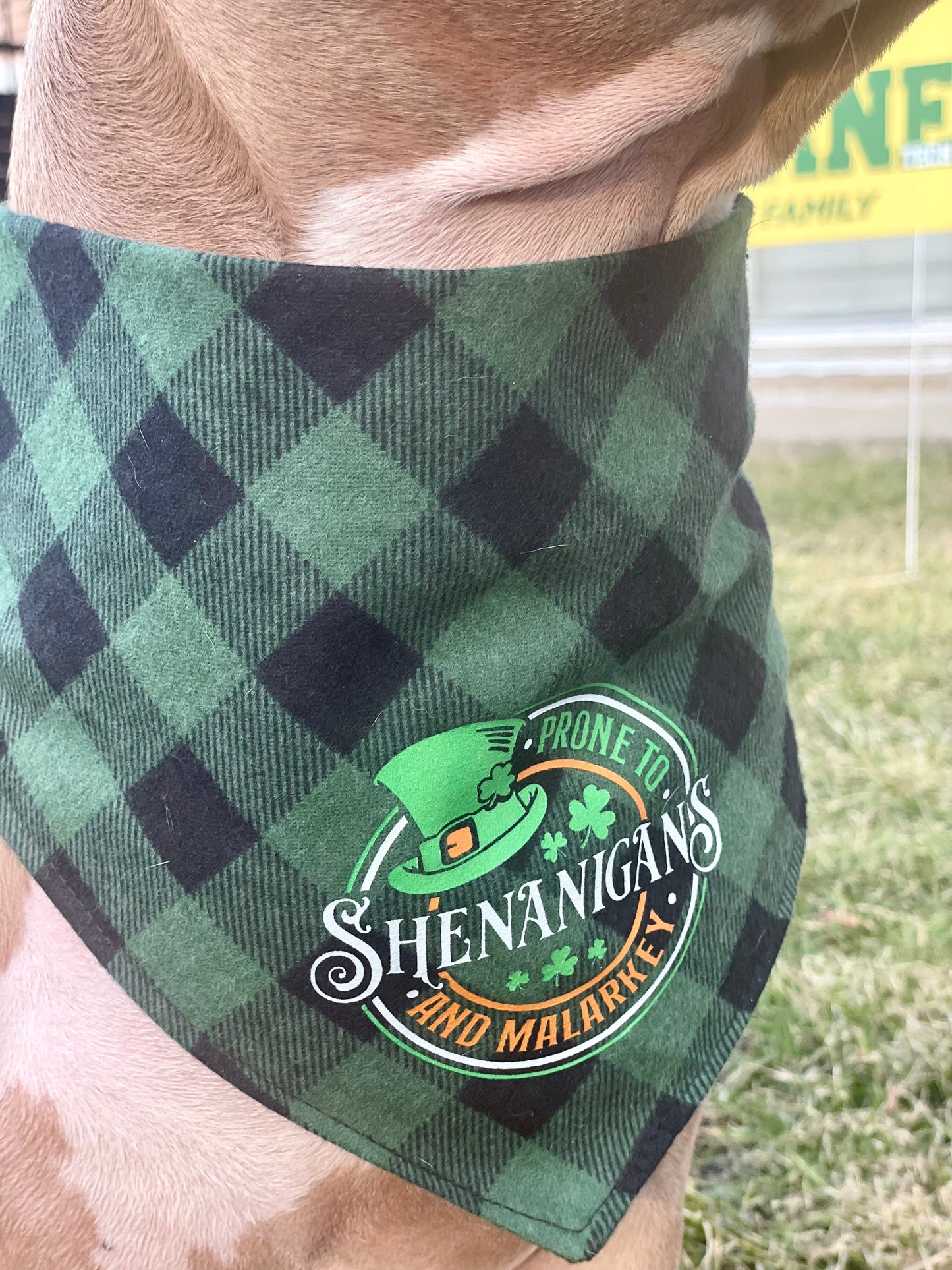 Prone to shenanigans