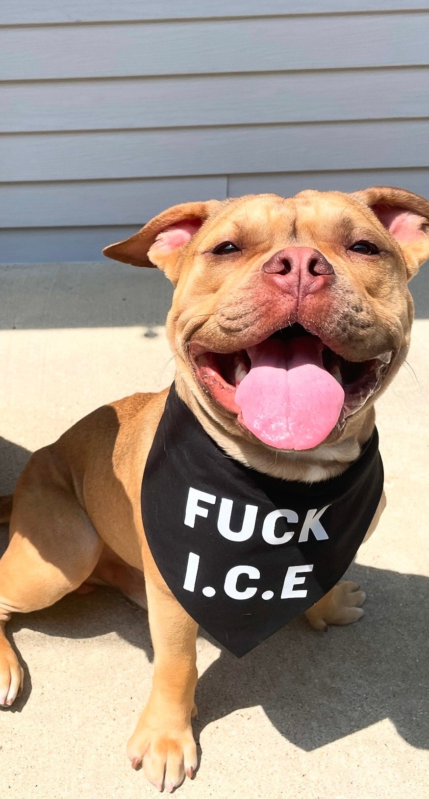 FU%K ICE