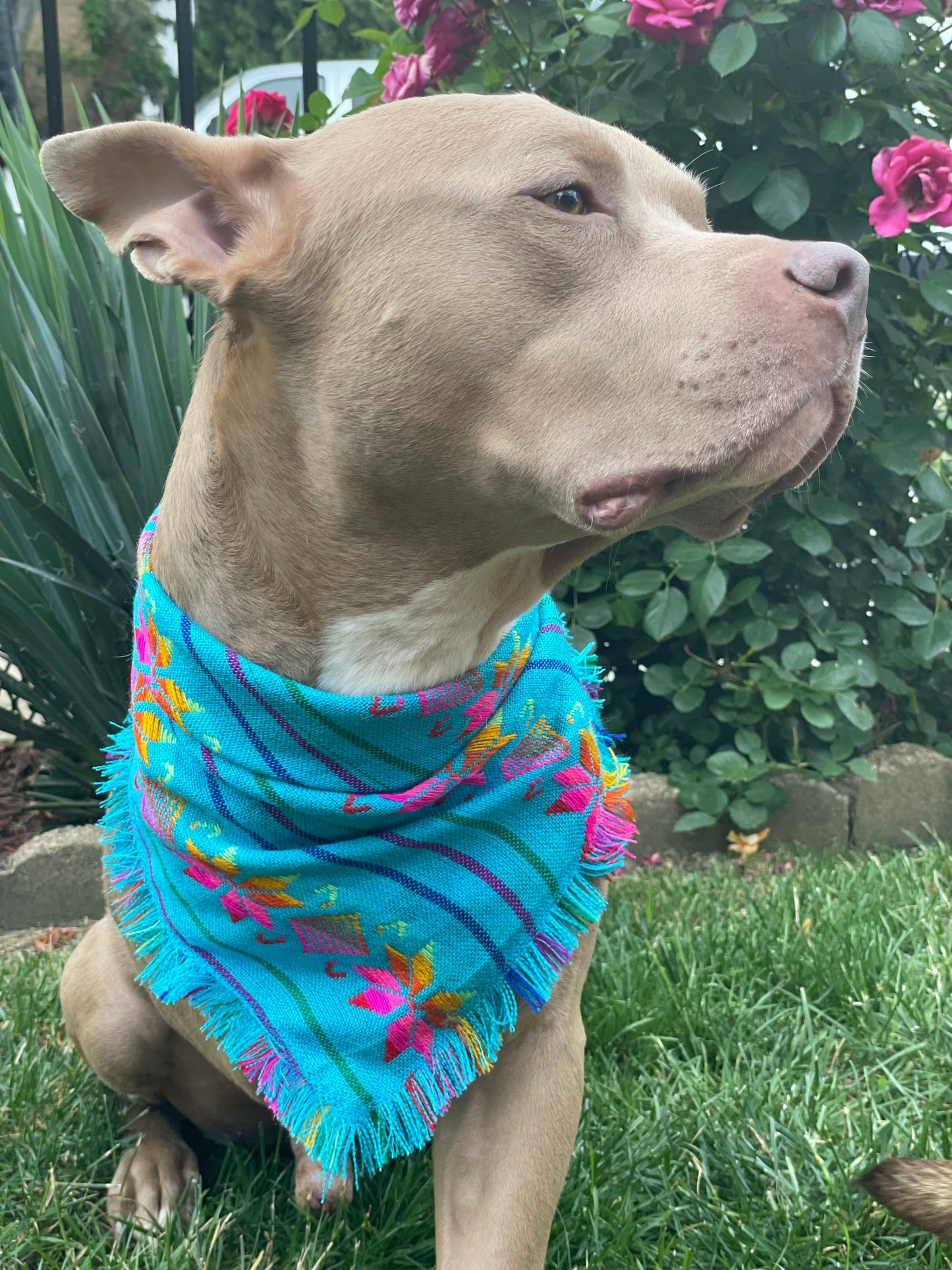Yucatan Cambaya Bandana