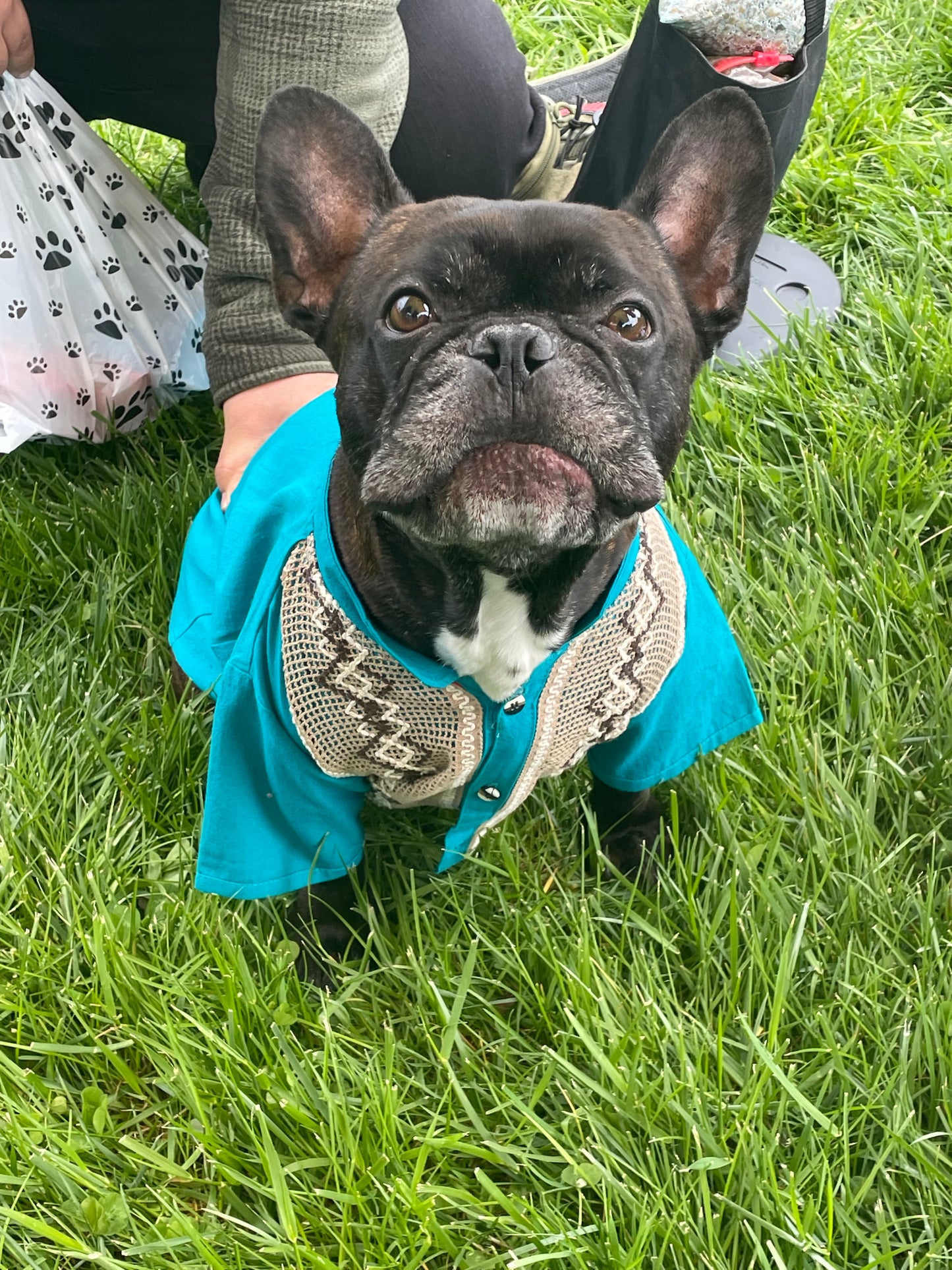 Guayabera
