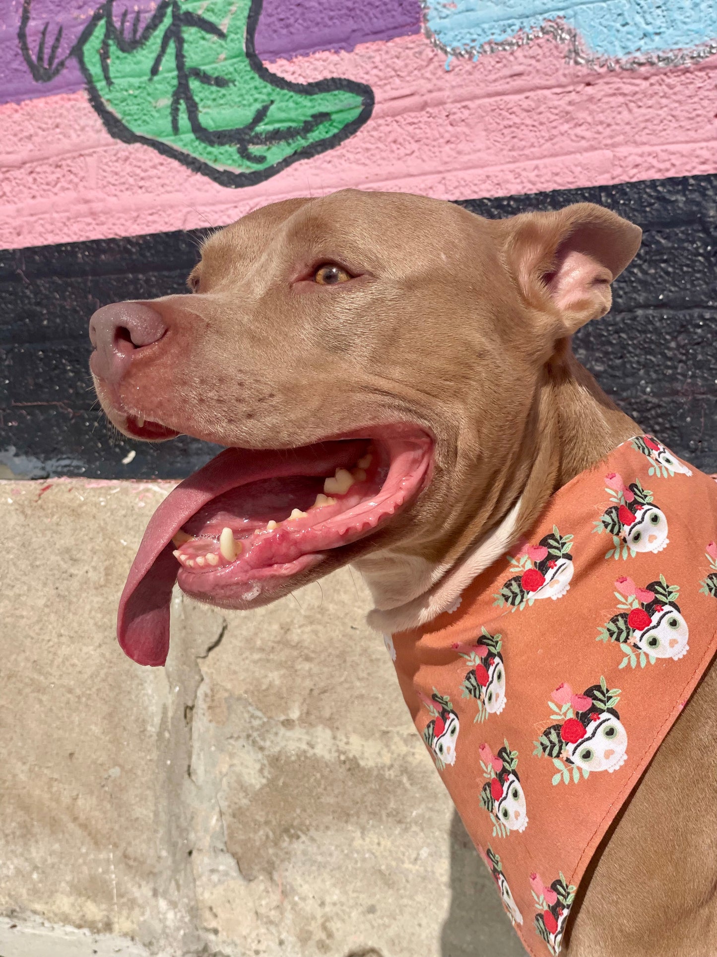 Frida Sugar Skull Bandana