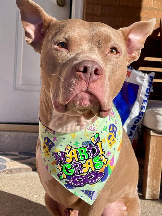 Mardi Gras bandana