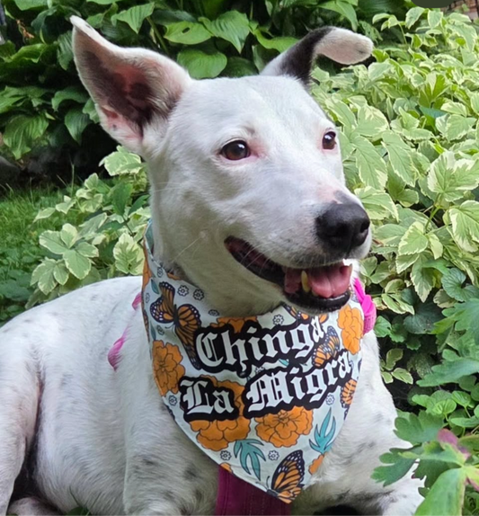 Chinga la migra bandana