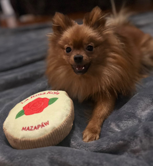Mazapáw Chew Toy