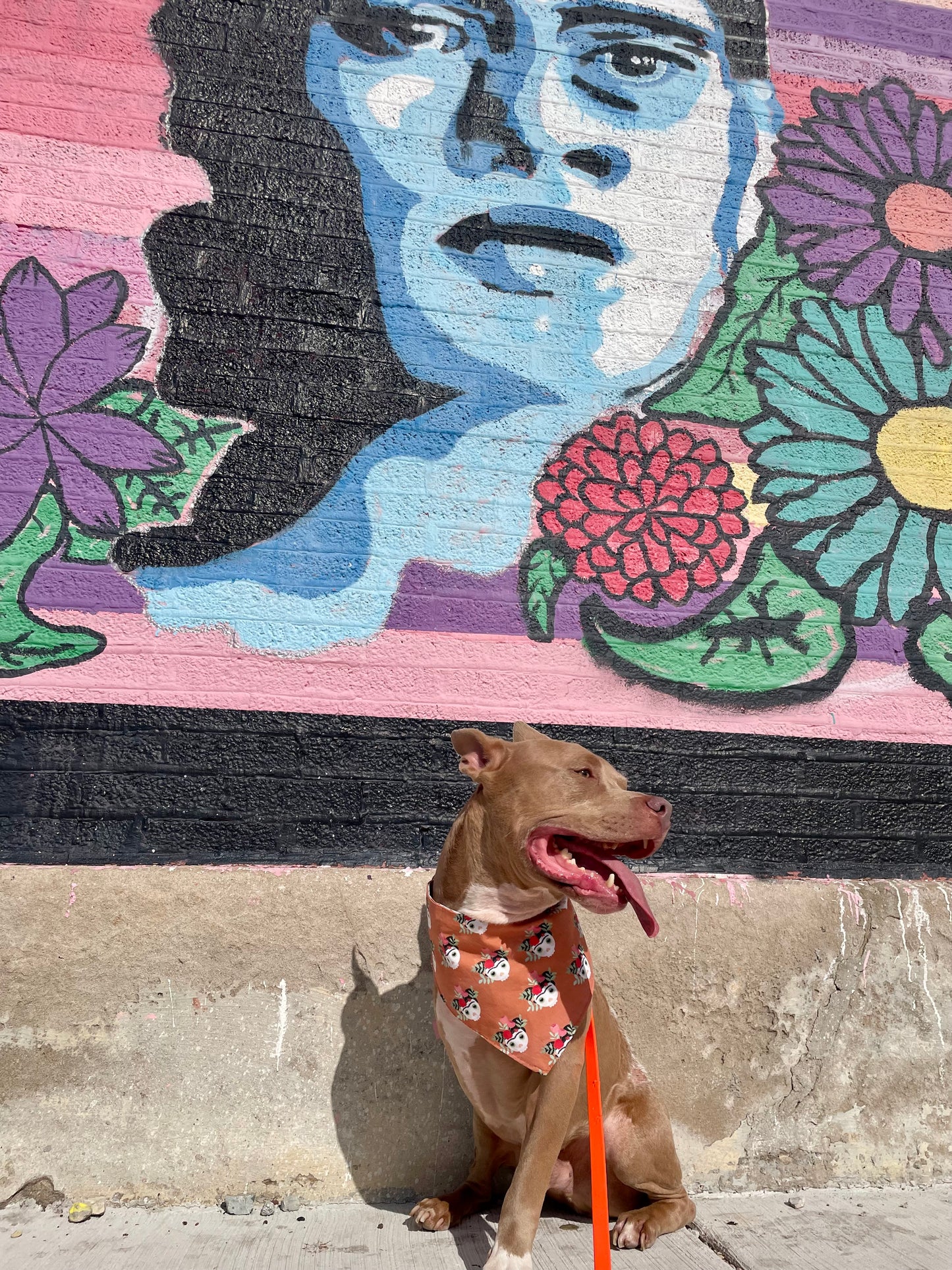 Frida Sugar Skull Bandana