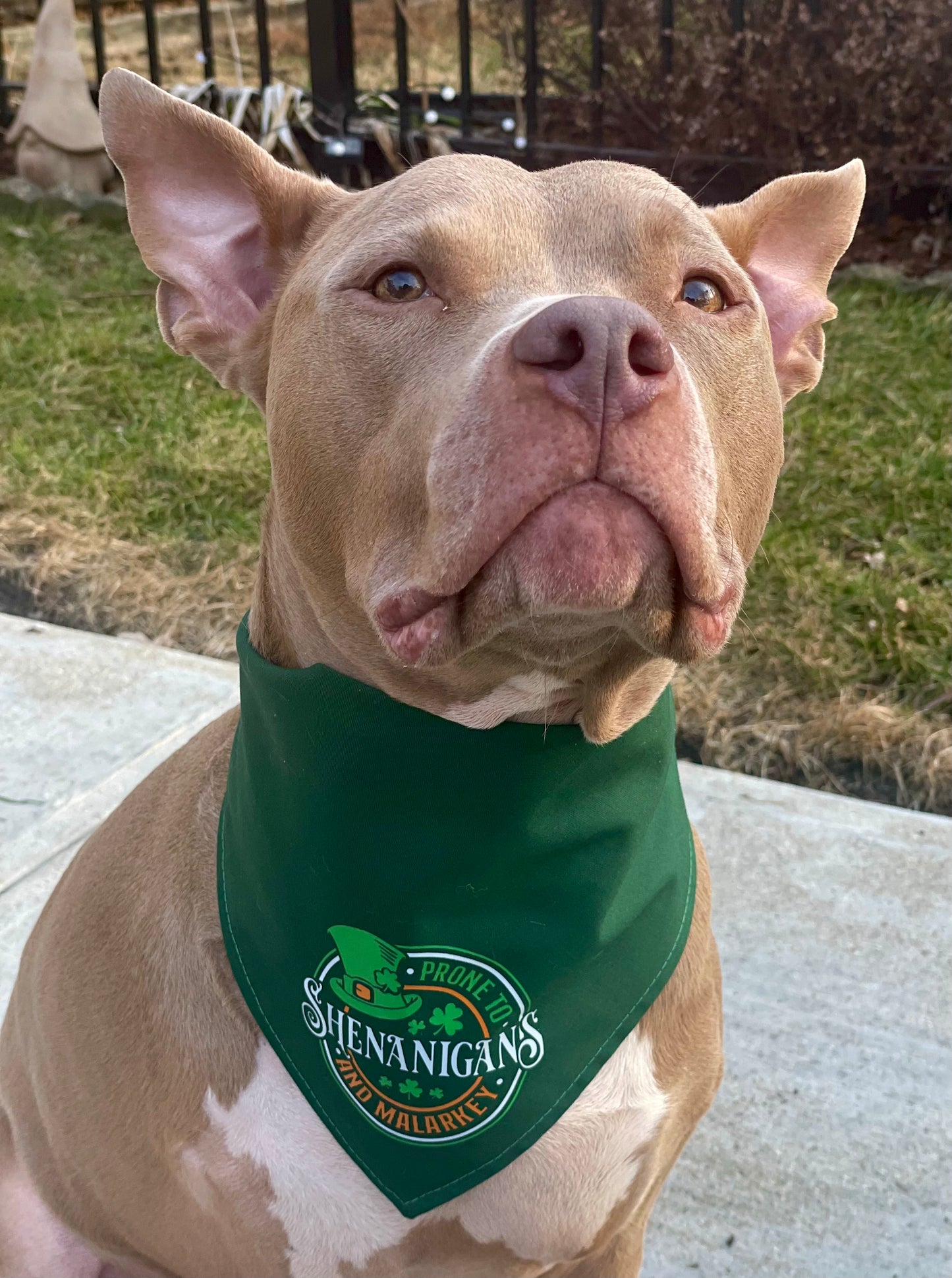 Prone to shenanigans